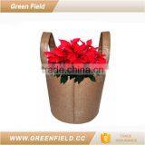 Home Decoration Plant Pot,eco Garden Plant Pot thumbnail-2