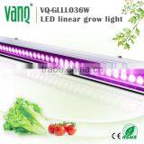 Vanq 54W Full Spectrum Led Grow Bar Light With 90 120 Degree Angle thumbnail-1