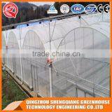 China Direct Plastic Greenhouse for Plant Tomato and Flowers thumbnail-2