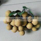 Manual Fruit Model Artificial Plastic Fruits Decoration Decorative Fruit Combination LGH15-06 thumbnail-3