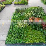 2017 Best Price High Quality Artificial Plant Wall Artificial Green Wall With Flower,artificial Grass Wall Indoor/outdoor thumbnail-5