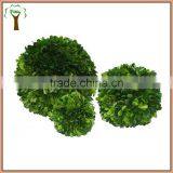 Decorative Table Preserved Boxwood Ball thumbnail-1