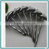 Electro Galvanized Roofing Nails Price/Umbrella Roofing Nails