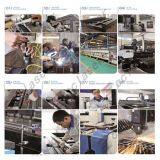 Shandong CCI Trade Co., Ltd. company overview - view 3 thumbnail