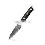 Hot Selling Mini Damascus Paring Knife Stainless Steel thumbnail-4