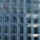 Top Quality Welded Wire Mesh Netting