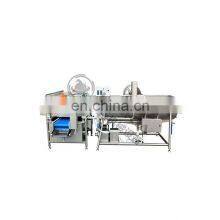 Vegetable and Fruit Vortex Washing Machine Vegetable Processing Line Machine