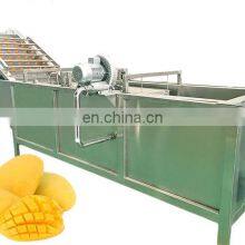 Superior Quality Industrial Stainless Steel Mango Production Line thumbnail-2
