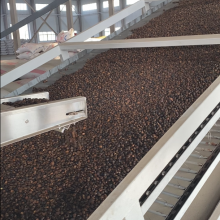 100% Organic Supreme Quality Camellia Seed Oil Extracted by CO2 (Edible/Cosmetic) thumbnail-5