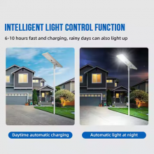 Outdoor Lighting Ip65 Waterproof Streetlight Engineering Integrated All in One Solar Led Street Lamp thumbnail-5