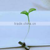 Hot Sell Wholesale Hair Accessories Lovely Plant Hair Clip for Children Adults thumbnail-2