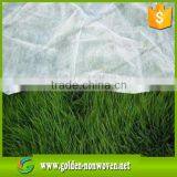 PP Spunbond Non Woven Fabric for Agriculture, Breathable Agriculture Nonwoven Fabric for Vegetable,fruit thumbnail-2