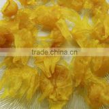 Dried rose flowers yellow