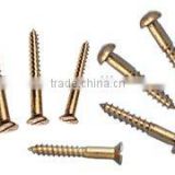 brass screws