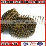 Stainless Steel Coil Nail thumbnail-1