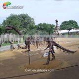 High Quality Dinosaur Skeleton Replica for Museum