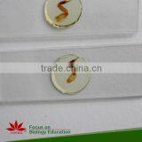 Prepared Slides , Insecta W.m. Slides,Glass Colorful Prepared Slides thumbnail-5