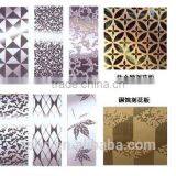 Golden Eagle Acid Etcing Machine thumbnail-5