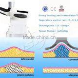 Mini Cryolipolysis Slimming Machine 8.4