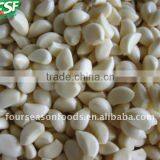 2013 Crop Iqf Frozen Garlic, Chinese Golden Supplier thumbnail-1