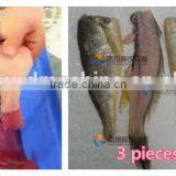 High Efficiency Small Fish Fillet Slicing Slicer Machine thumbnail-6