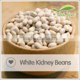 China Origin Good Quality White Kidney Beans thumbnail-3