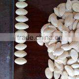 Price of 2015 Pumpkin Seeds 9-11mm thumbnail-6
