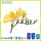 Organic 100% Pure Evening Primrose Oil Rich in GLA