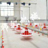 Auger Feed System for Poultry