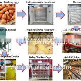 1056 Chicken Eggs Incubation Equipment With Solar Power System thumbnail-4