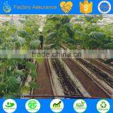 TS Irrigation Build Types of Irrigation System for Corn Irrigation, Sugarcane Irrigation