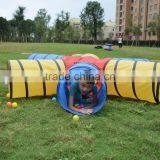 2016 Hot Selling New Cat Tunnel 6Way Play Fun Pet Toy Tunnel thumbnail-6