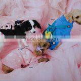 Dog Products thumbnail-1