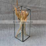 Home DIY Decor Micro Landscape Clear Terrarium Geometric Glass Greenhouse thumbnail-3