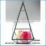 Transparent Glass Plant Terrarium Hanging Geometric Glass Terrarium, Glass Globe Hanging Terrarium