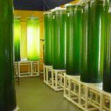 Transparent Acrylic Tube thumbnail-3