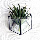 Home Decorate- 3 Sizes Modern Geometric Stained Glass Terrariums thumbnail-4