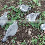 PIGEON DECOY BIRD PAINTED SHELL HIGH QUALITY thumbnail-6