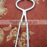 HOOF TESTER thumbnail-1