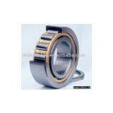 Cylindrical Roller Bearing thumbnail-1
