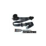 Seat Belt thumbnail-1