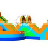 Outdoor Giant Inflatable Water Slide Inflatable Water Slide With Pool for Kids thumbnail-2