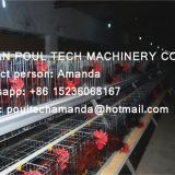 Philippines Chicken Farm Hot Galvanized Cage for Layer & A Frame Battery Hen Cage & Female Chicken Coop for Poultry Farm