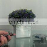 100 Led 10m Waterproof Remote Telecontrol 8 Function Battery Box Led String Light