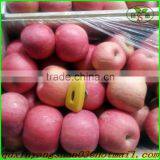 Professional Fruit Supplier Fresh Red Delicious Apple:75 mm up thumbnail-3
