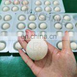 Beikn Machine Desktop Sweets Dates Healthy Tamarind Ball Rounding Machine thumbnail-6
