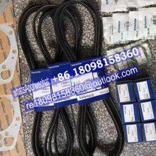 Genuine Perkins Belt CV14646 OE49891 Original Engine Parts thumbnail-1