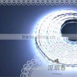 High Quality SMD5050 DC12V DC24V Led Flexible Strip Light thumbnail-5