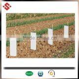 Popular Corflute Vine Guards/Corflute Tree Guards thumbnail-5