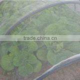 HDPE the Mosquito Net,anti Insect Bird Net